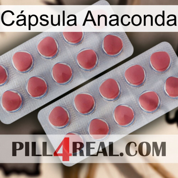 Cápsula Anaconda 19.jpg